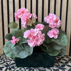 jardinière de géraniums artificiels pour sépulture – pompes funèbres proches de Pacé